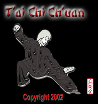 tai chi chaun instructional video